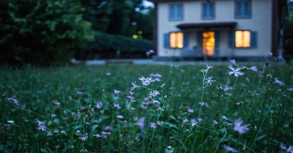 front yard wildflower garden design