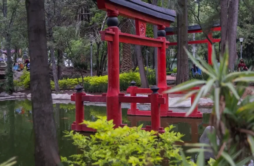 Japanese Garden Pond with a red torii in it