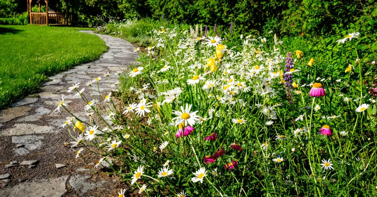 A beautiful bed of wild flowers next to a path of natural stones