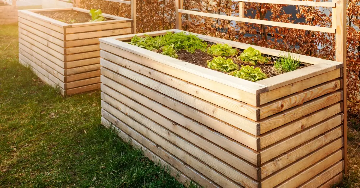 Best Wood for Raised Garden Beds