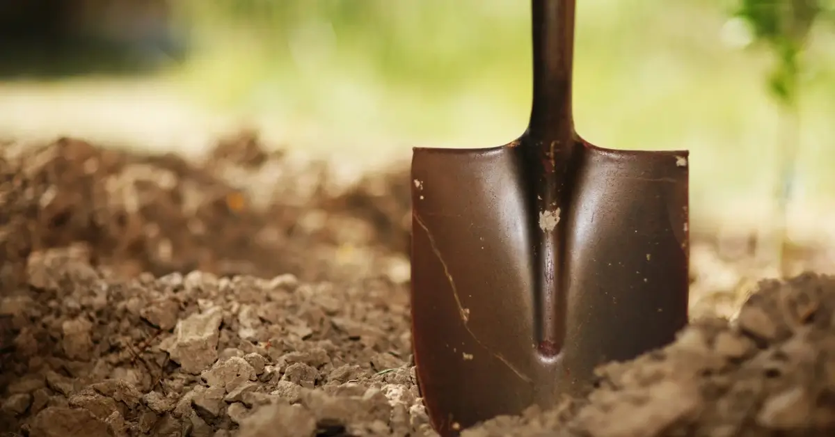 Best Garden Shovel