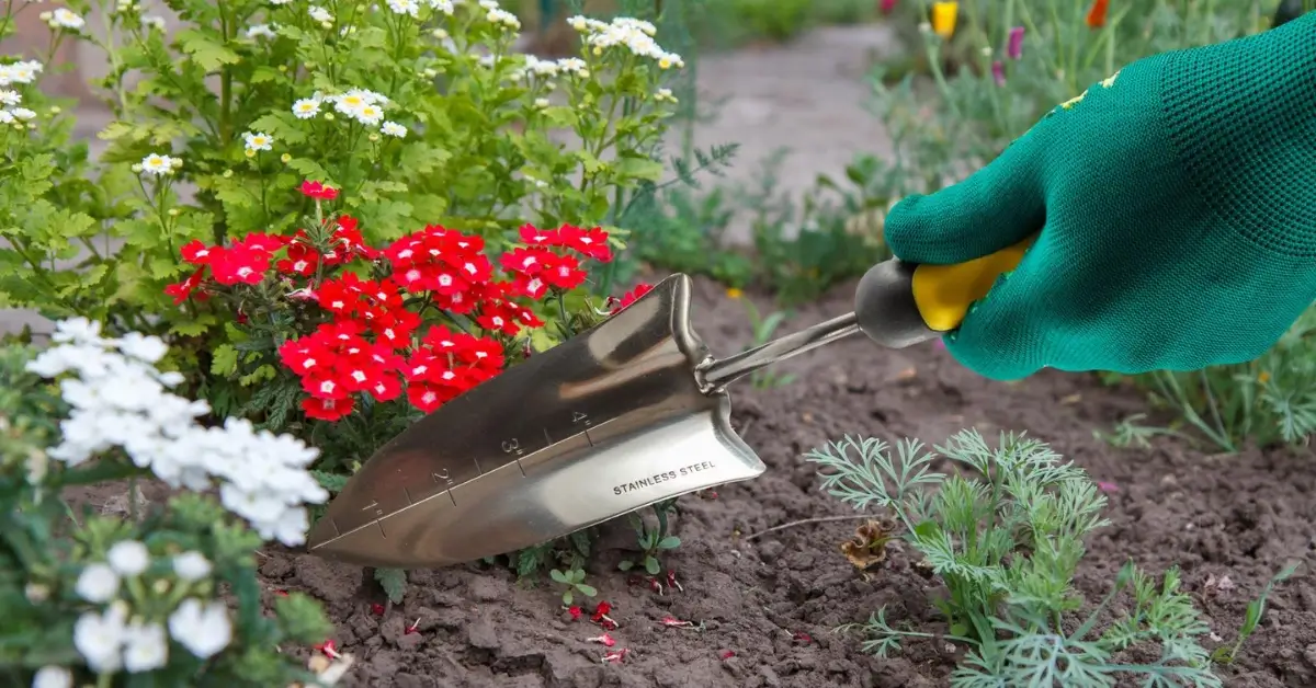 Best Garden Trowels