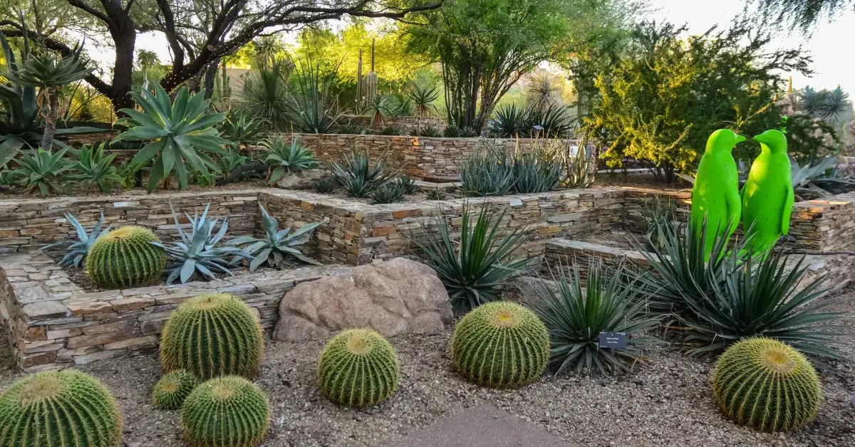 18 Arizona Garden Ideas for Stunning Desert Landscaping Success