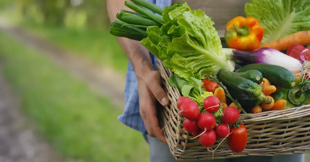 Fall Garden Vegetables